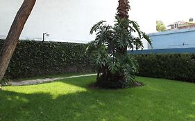 Pedregal Palace
